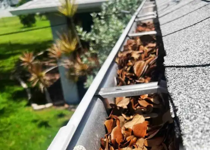 American Fork gutter cleaning home page